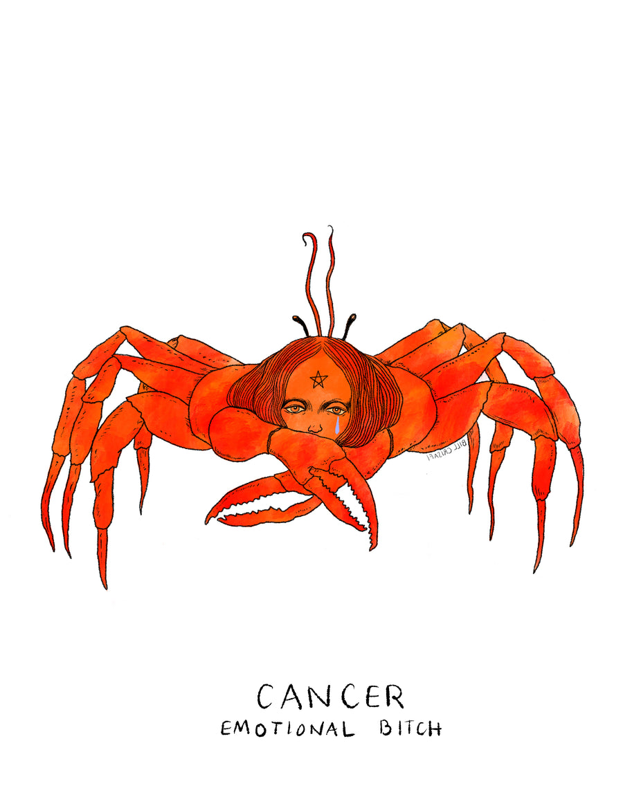 ZODIAC ART PRINTS (WITH TEXT)