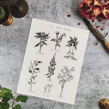 The Witch's Garden Fine Art Print