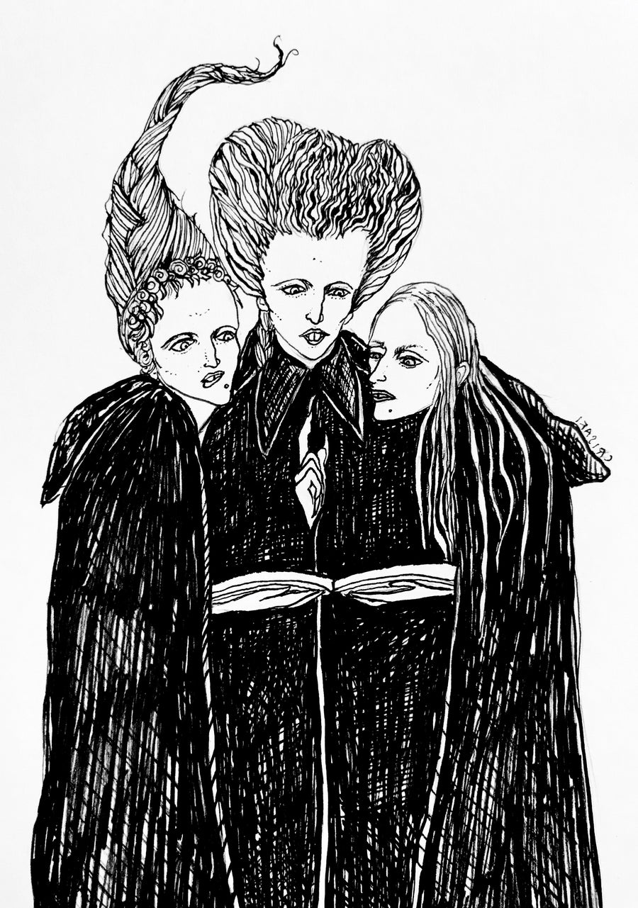The Sanderson Sisters Fine Art Print