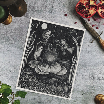 Pond Potions Fine Art Print